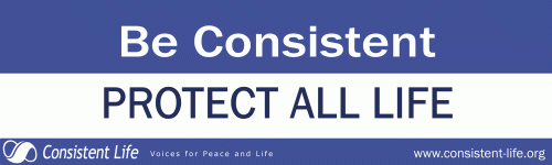 Be Consistent: Protect All Life bumper sticker