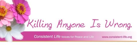 Killing Anyone Is Wrong bumper sticker