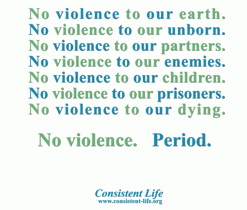 No Violence. Period. T-shiret image